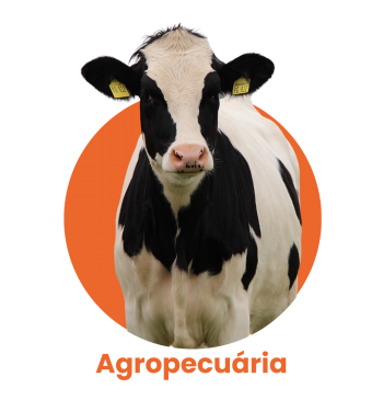 Agropecuária